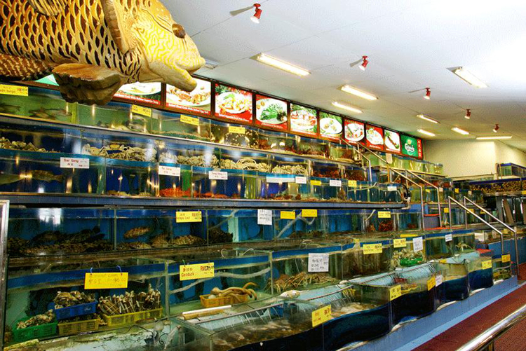 Unique Seafood Petaling Jaya - Aquarium Unique Seafood Petaling Jaya - Aquarium