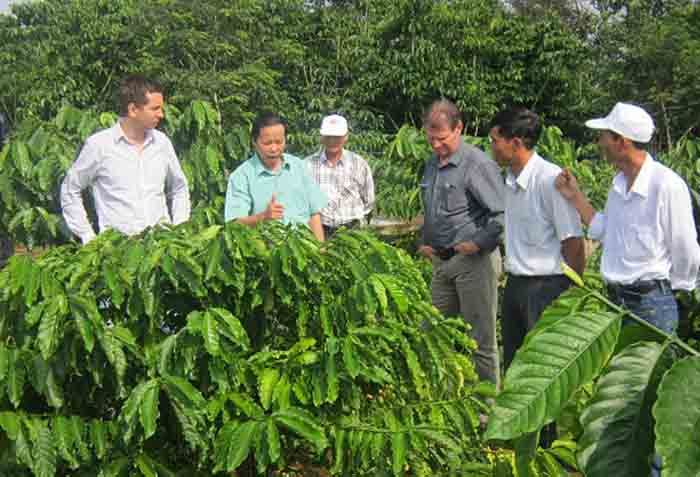 UTZ Certified. Climate experts and coffee farmers share information. Lam Dong, Vietnam