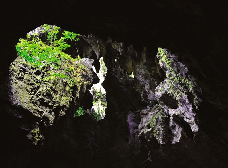 Mulu National Park