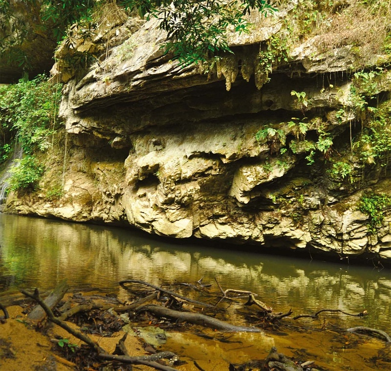 Mulu National Park