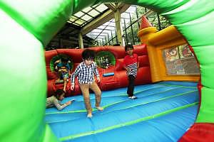 picture-7