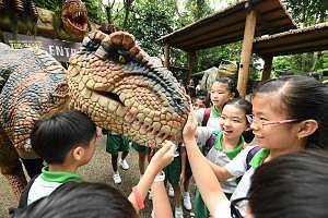 zoo-rassic-park-meet-and-greet-t-rex_wrs