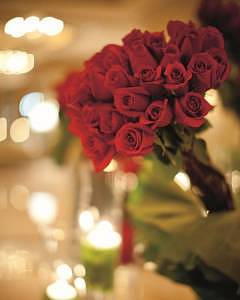 rcv_roses