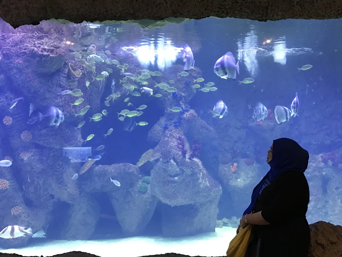 The SHORE Oceanarium