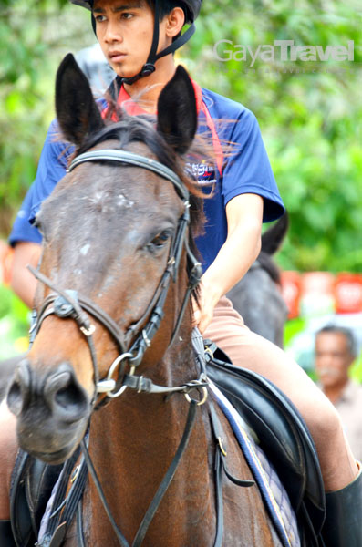 AS Equestrian Centre