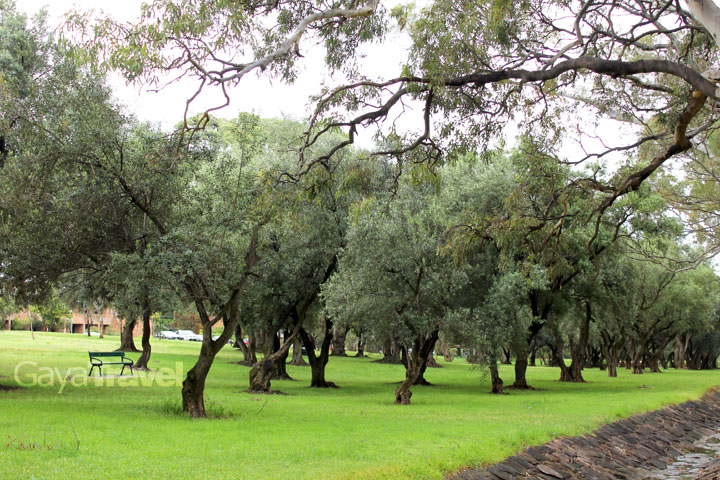 The cleanliness of the parks is well ensured
