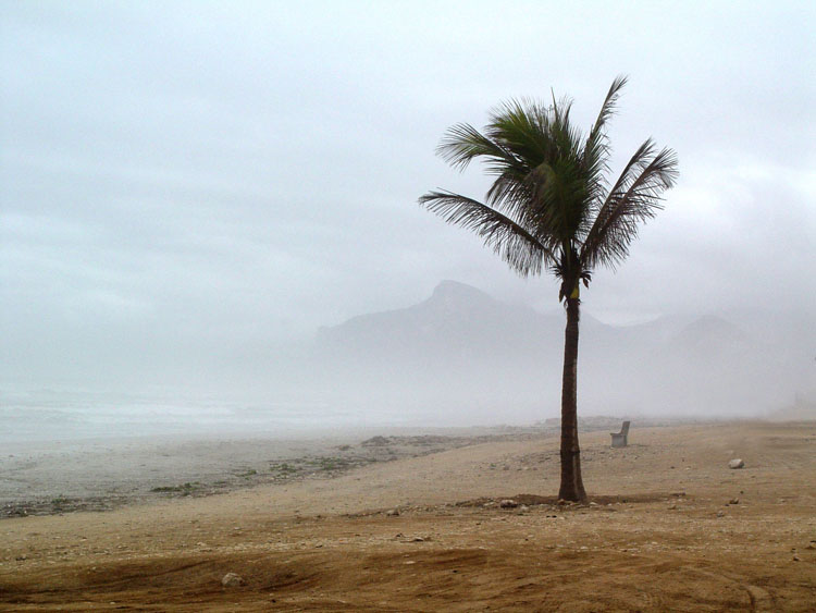 Salalah 2