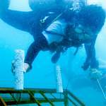 A conservation project under way during the S.I.T programme
