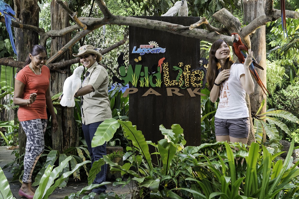 Home to over 150 species of animals, Sunway Lagoon's Wildlife Park is an interactive and educational zoo, featuring exotic boutique, small and friendly animals from a range of birds, reptiles and mammals.