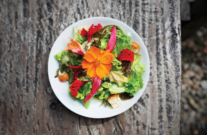 The intriguing and delightful flower salad at Bohol Bee Farm.