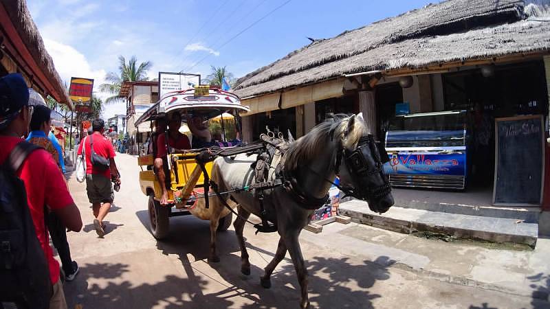 'Cidomo' (horse carriage) is the only type of transport on Gili Trawangan.
