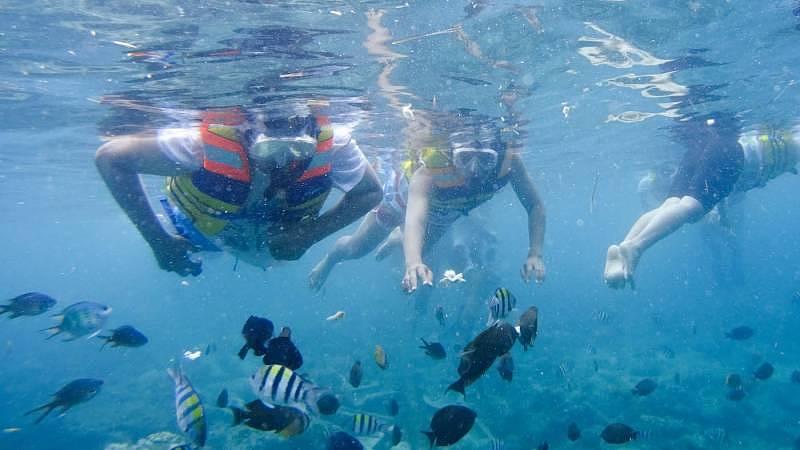 Snorkeling experience in the three 'Gili' is one of a kind.