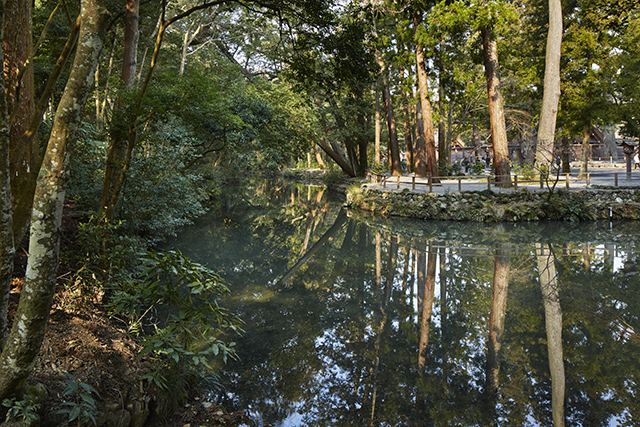 Zen moment at Daijiji temple in Shima.