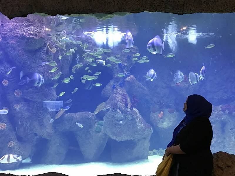 The SHORE Oceanarium