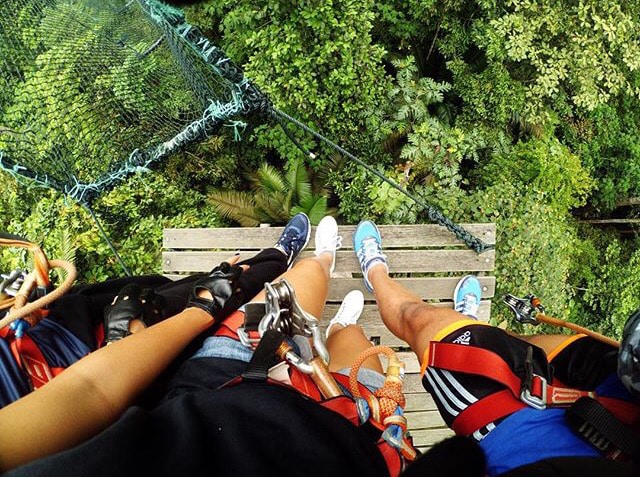 Skytrex Adventure