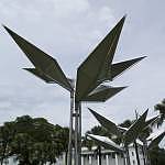 Birds of Paradise
