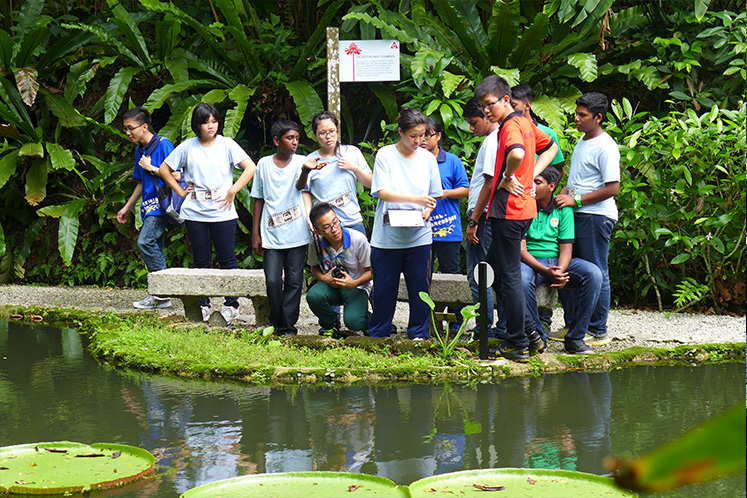 Children’s Nature Education Programs