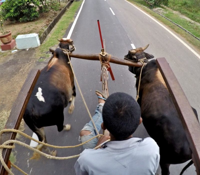 Warisan Kereta Melayu Tambak Bugis