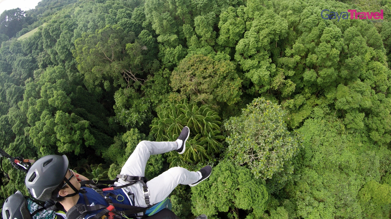 The writer enjoying the lush green forest view from above during the flight.