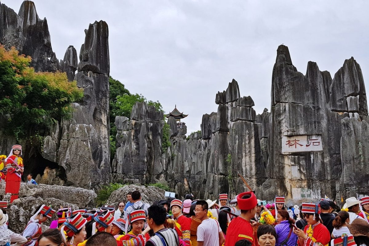 Stone Forest