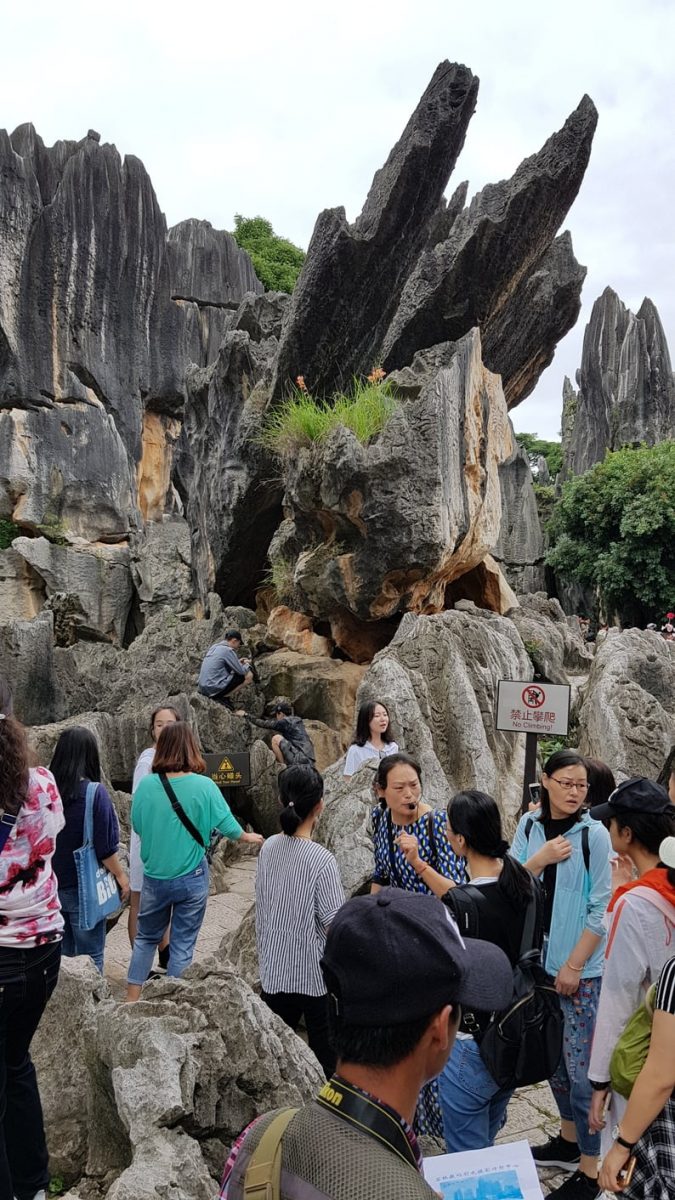 Stone Forest