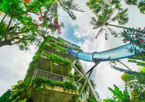 Racing down Waterbom's popular water slides