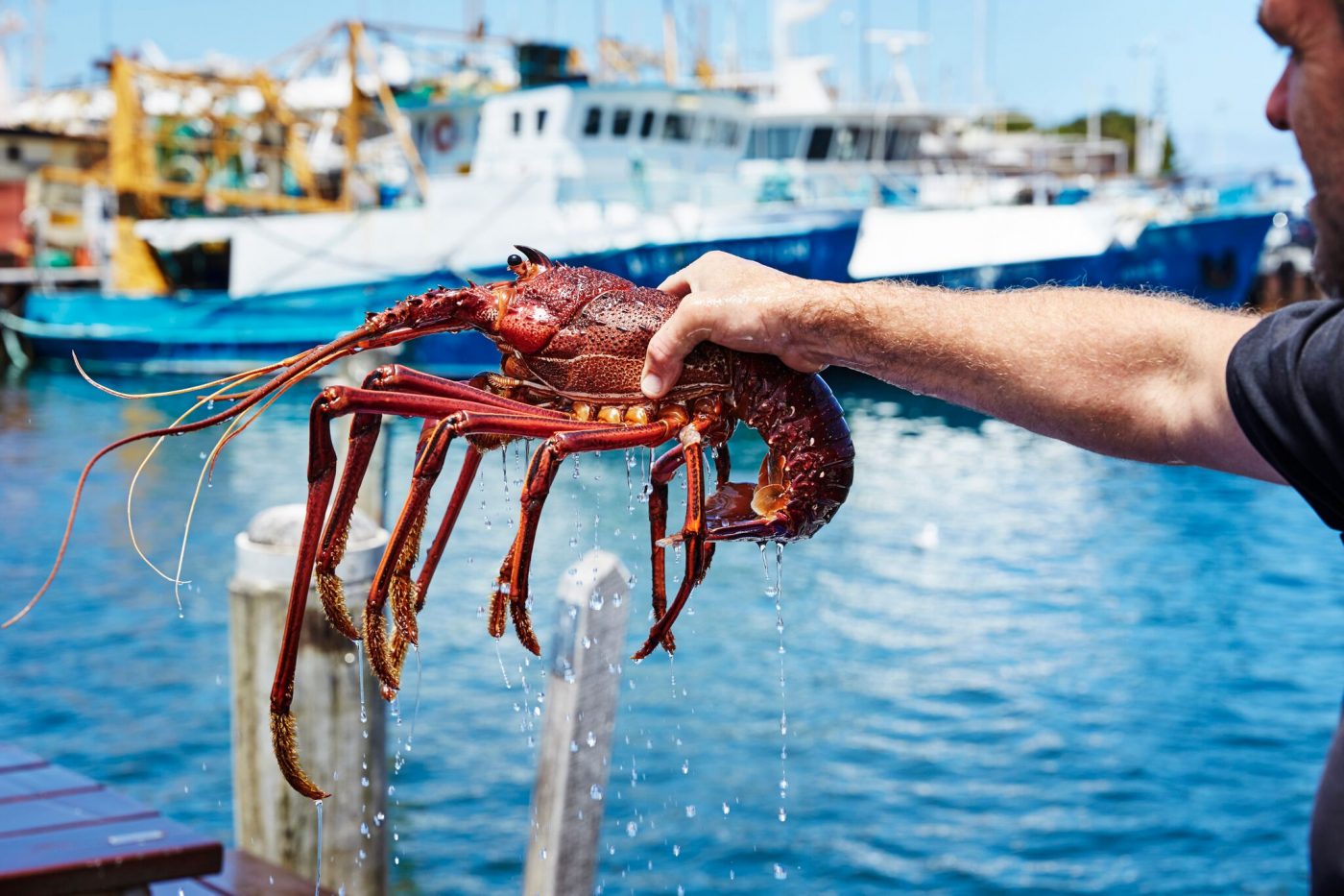 Fresh catches in the region due to the diversity of its marine habitats and inland waters. (Image Credit: Tourism Western Australia)