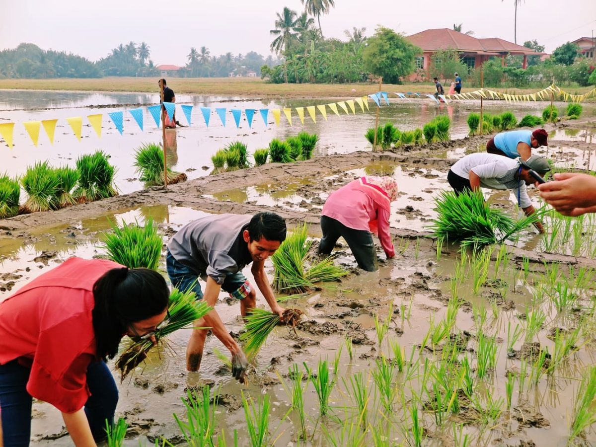 Kompleks Latihan MADA Alor Serdang