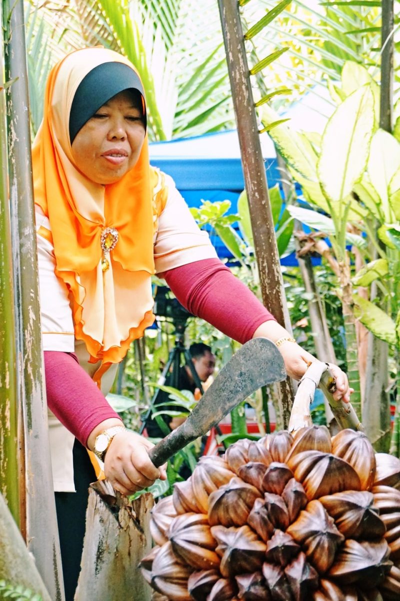 Ladang Nipah Ismail Che Kaq