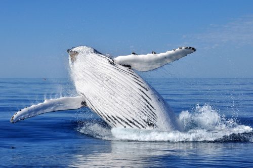 Tourism Western Australia