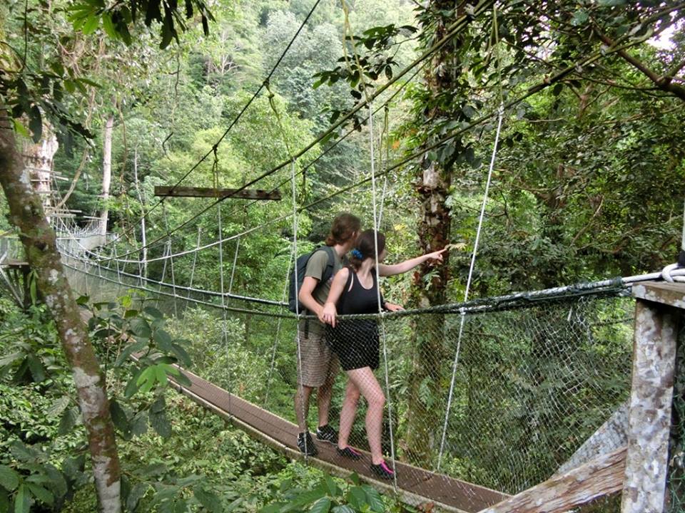 Mulu Caanopy skywalk