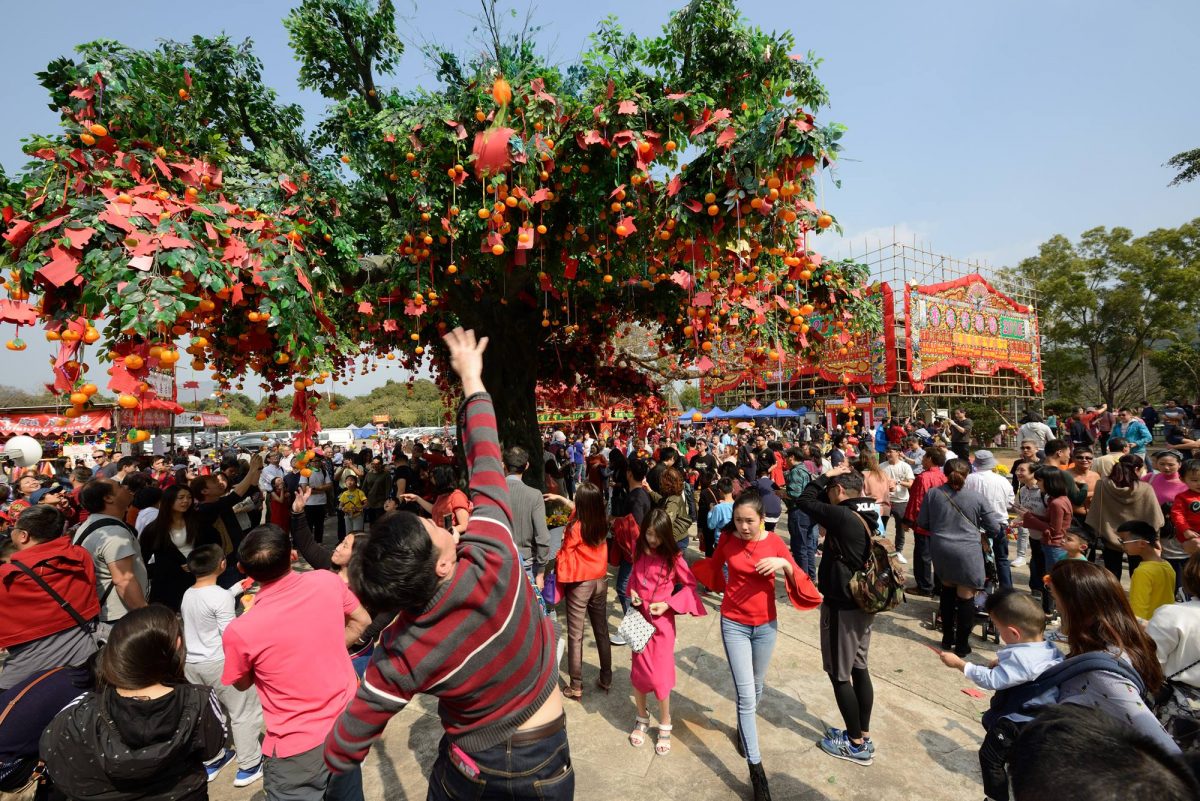 Lam Tsuen Wishing Tree_ (Credit- Hong Kong Well-wishing Festival)