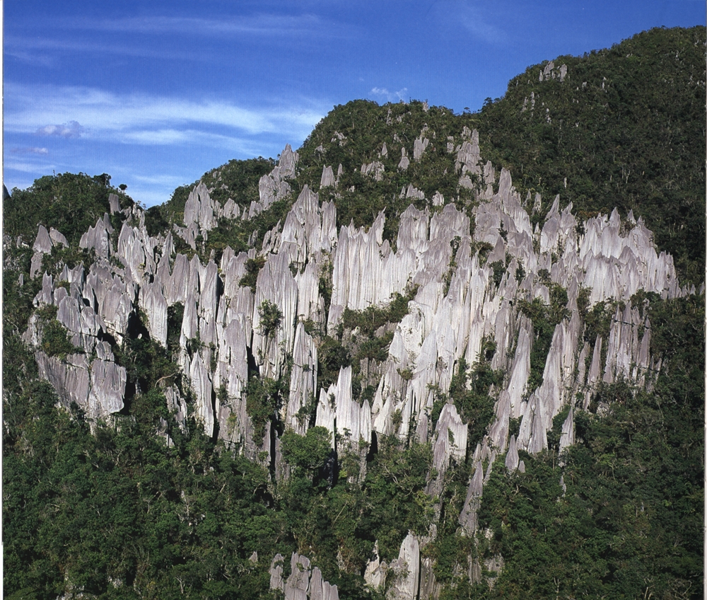 The pinnacles @ Mulu