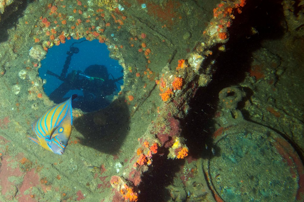 Wreck diving Kuching