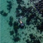Snorkel in Manly's Underwater World