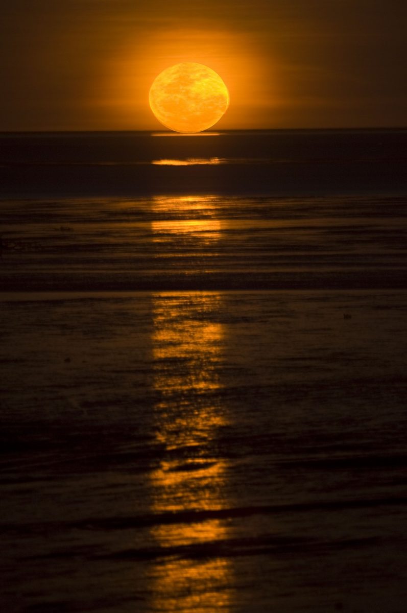 The Staircase to the Moon phenomenon, which happens across Roebuck Bay, Broome