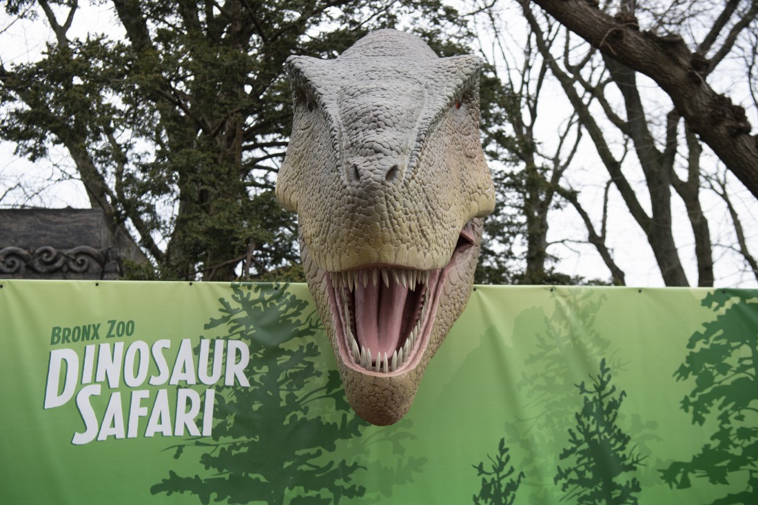 Dinosaur Safari at The Bronx Zoo_Julie Larsen Maher