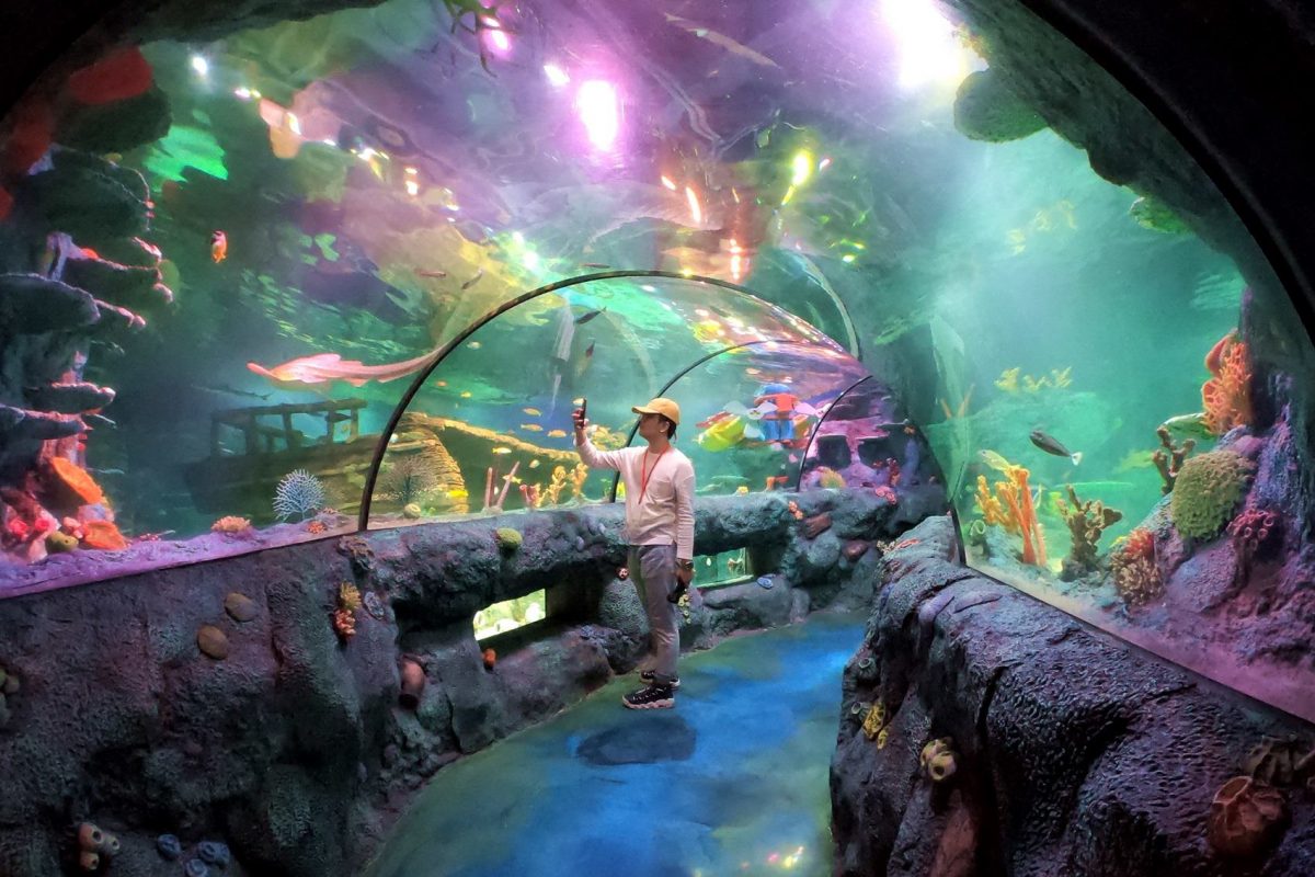 SEA LIFE Malaysia - Gaya Travel Magazine