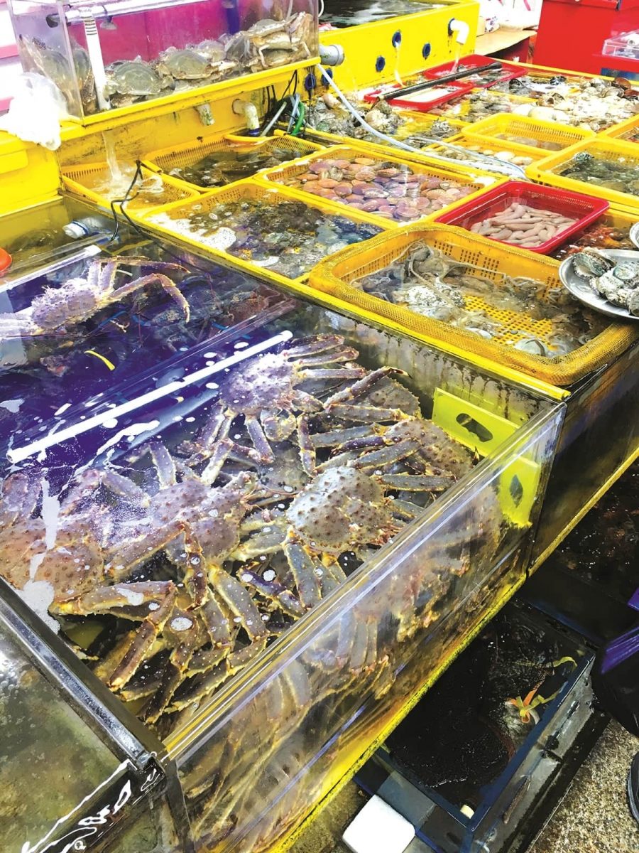 Jagalchi Market