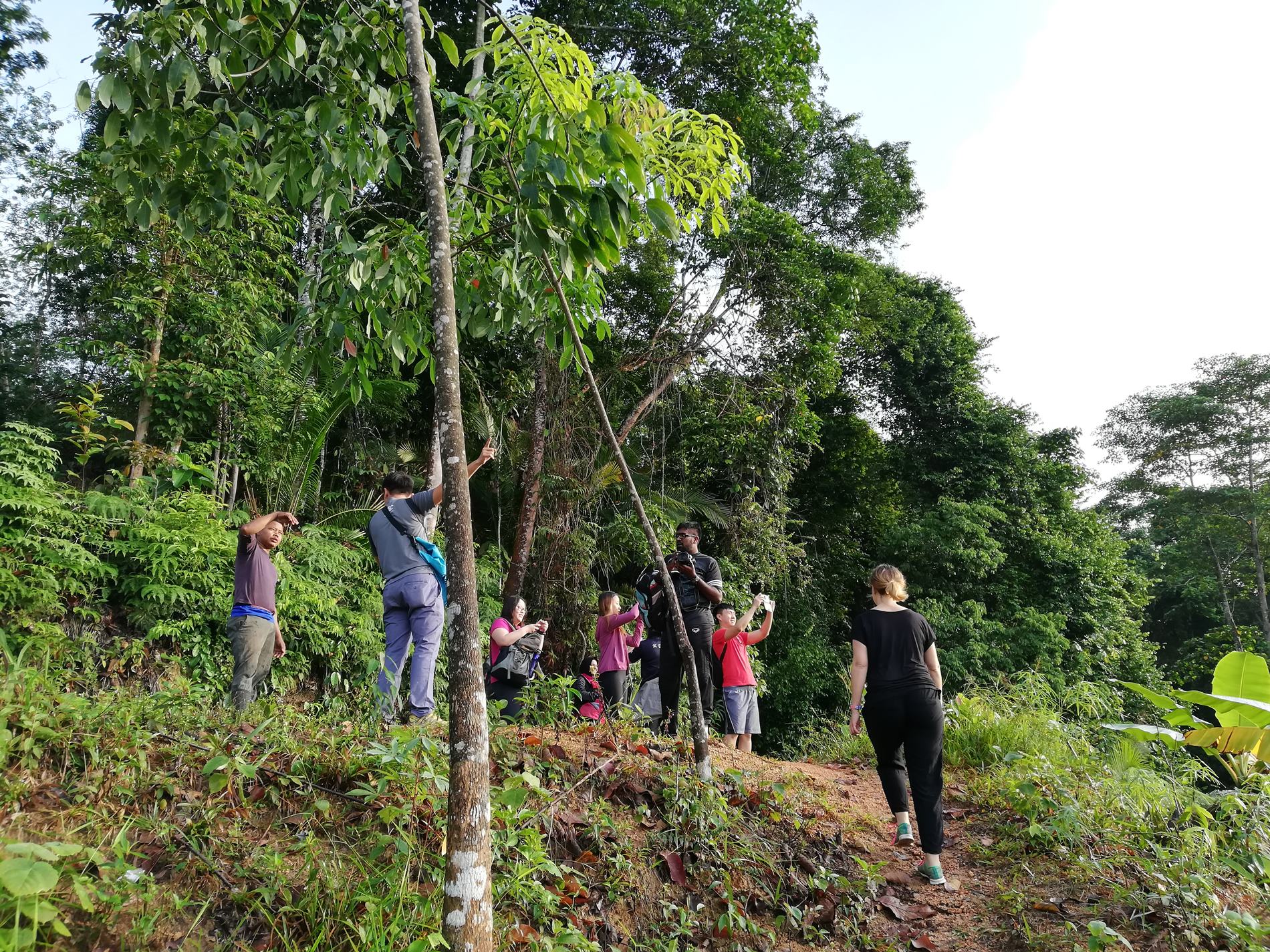 Temuan Village Trail