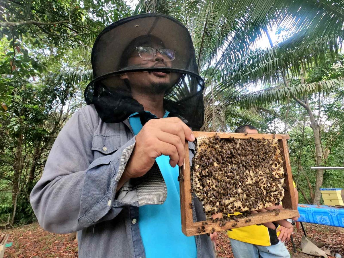 Borneo Honeybee Centre