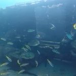 Sunken treasure boat at the Perdana Quay Eco Marine Park