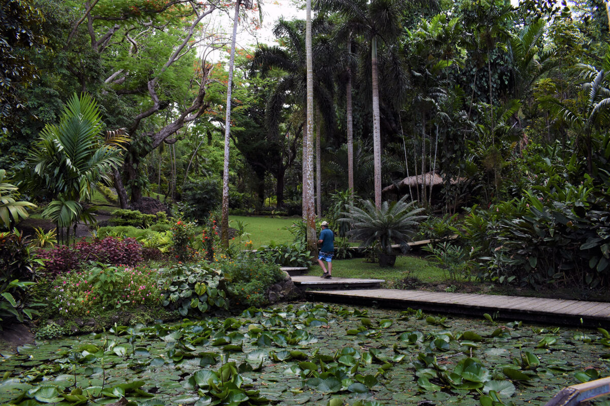 The Garden of The Sleeping Giant