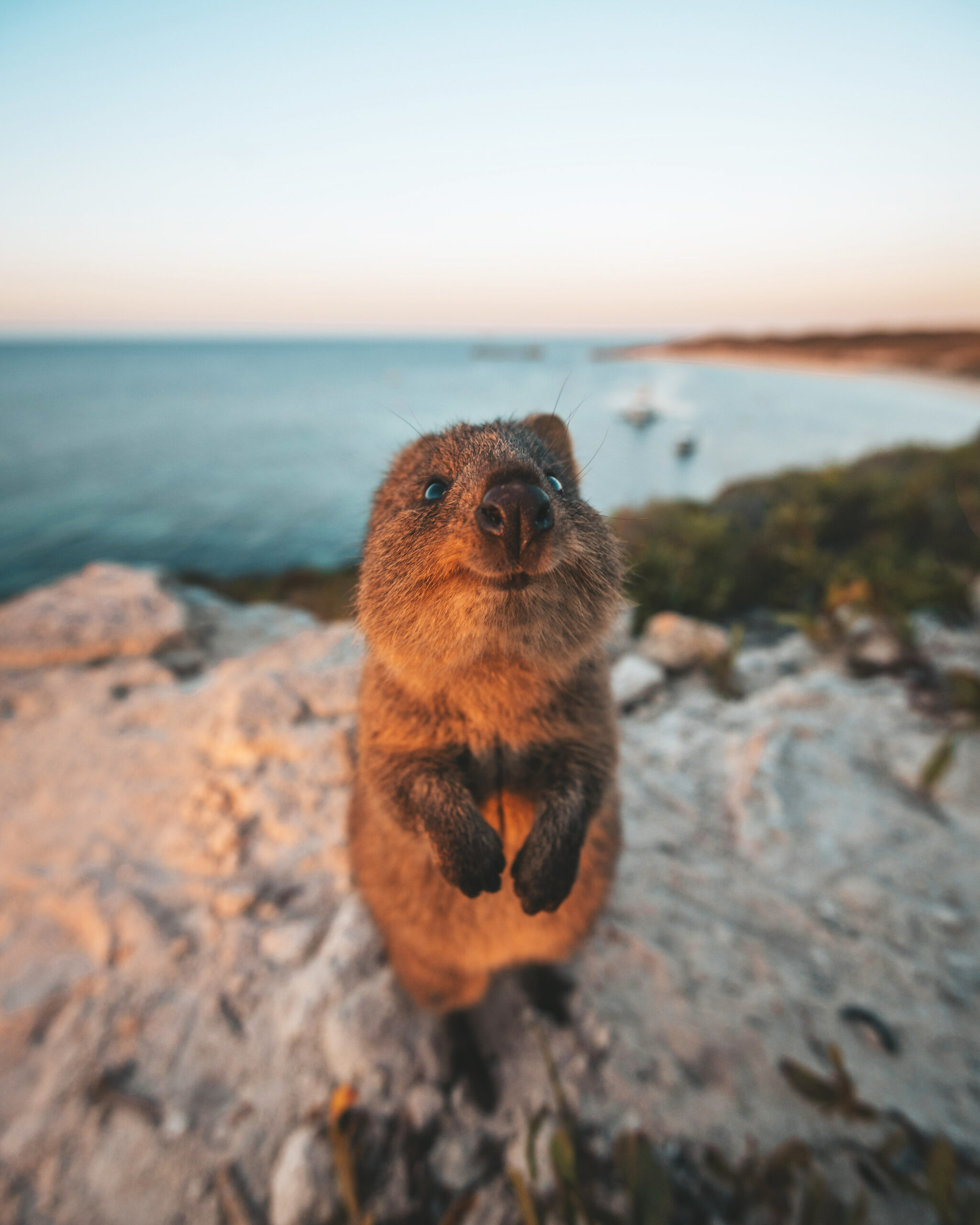 Australia