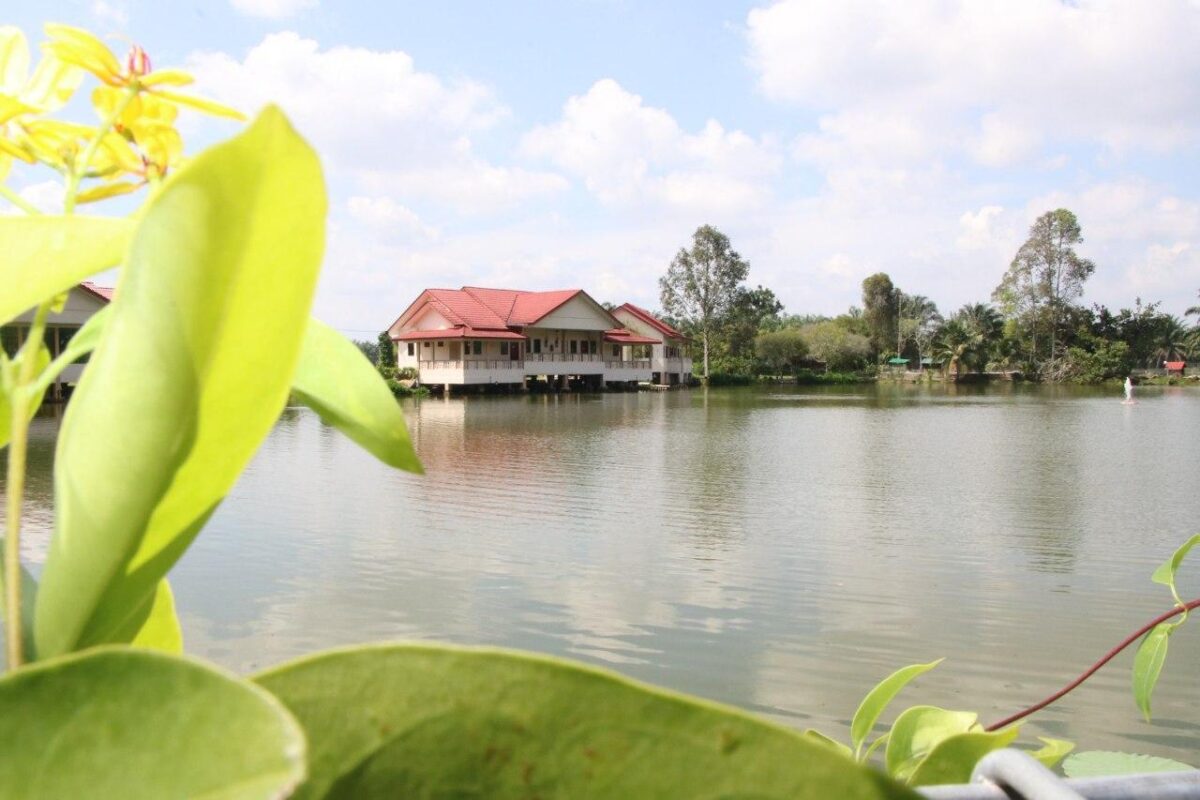 Homestay Ladang Moccis di Teluk Intan