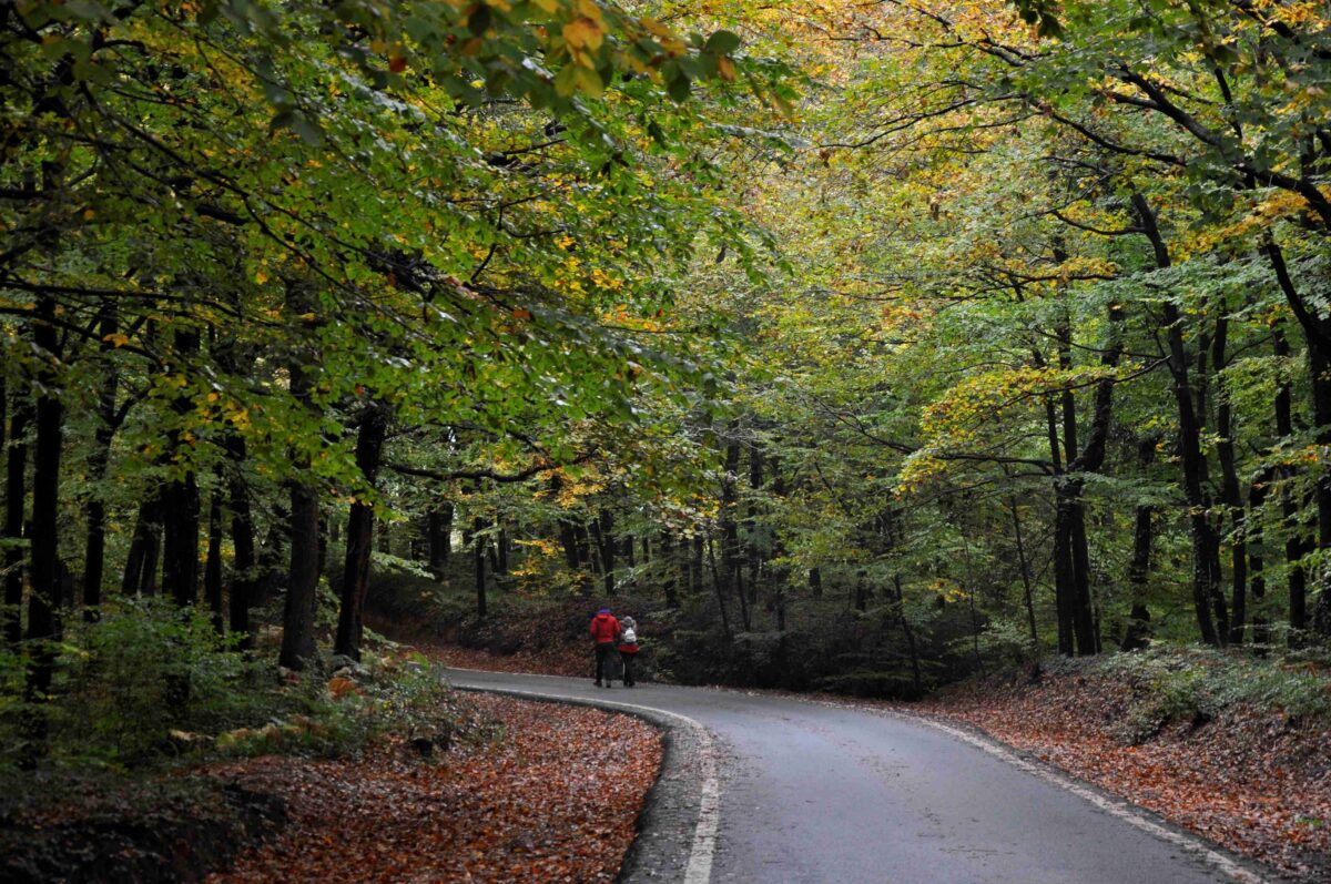 Turkiye