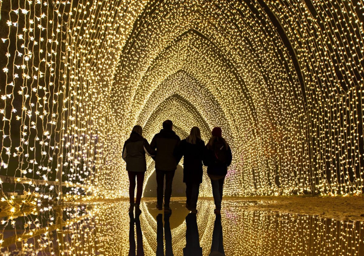 Lightscape Festival (© Visit Victoria)