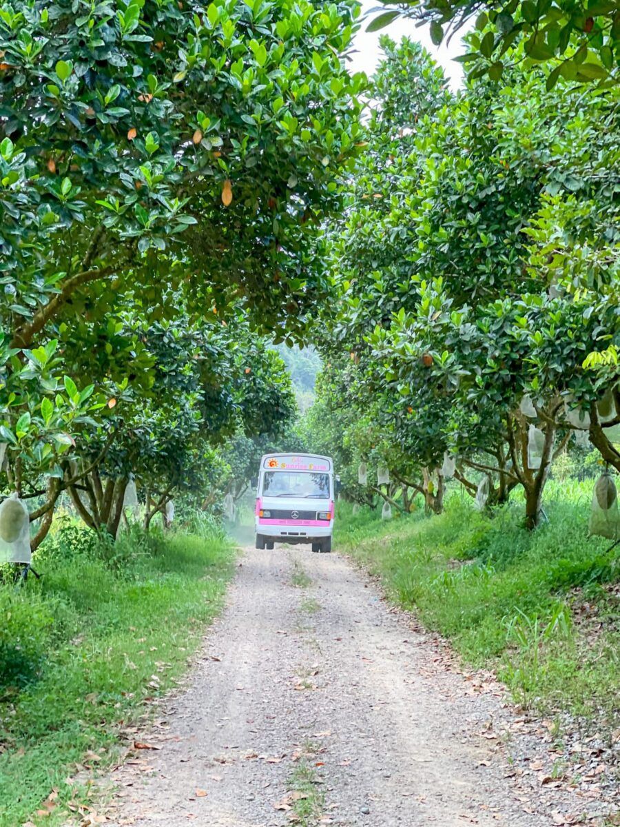 Labis Sunrise Farm