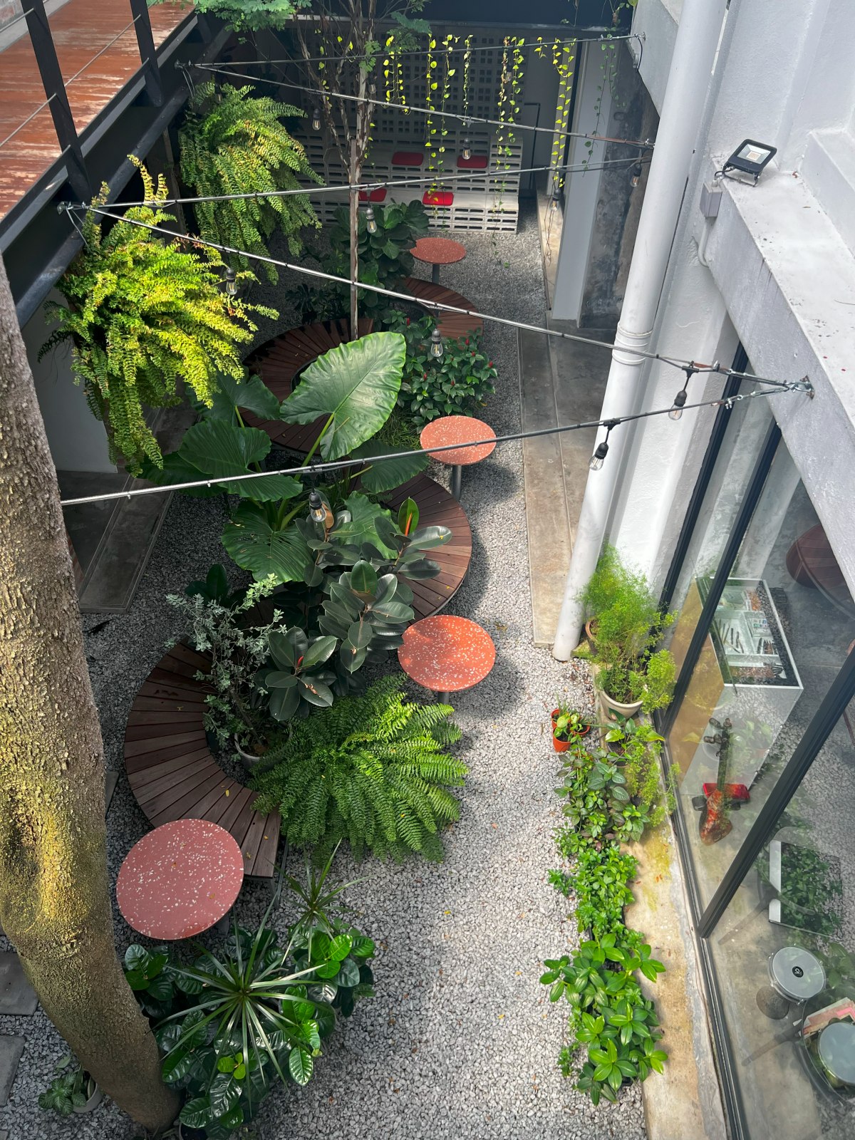 A peek at HSS Pocket Park from the floor above.