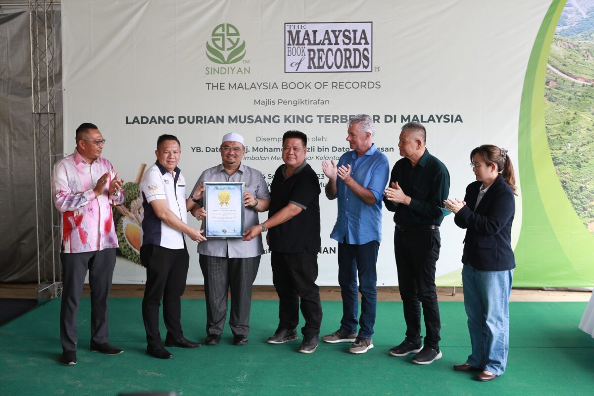 Malaysia Book of Records for Largest Musang King Farm in Malaysia